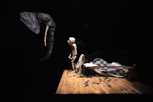  CabezaDeElefante_002_©Johan Karlsson