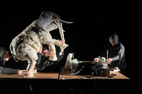  Copia de IMG_2551 - Silencio Blanco - Chile (Silencio Blanco - Chile)