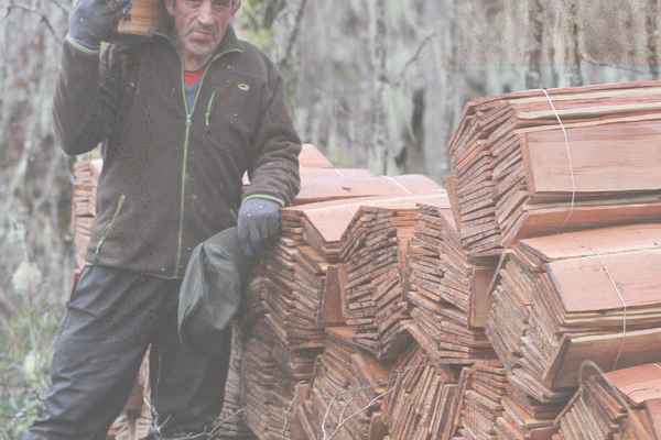 cueca_DSC9239.jpg A022_GAM.png