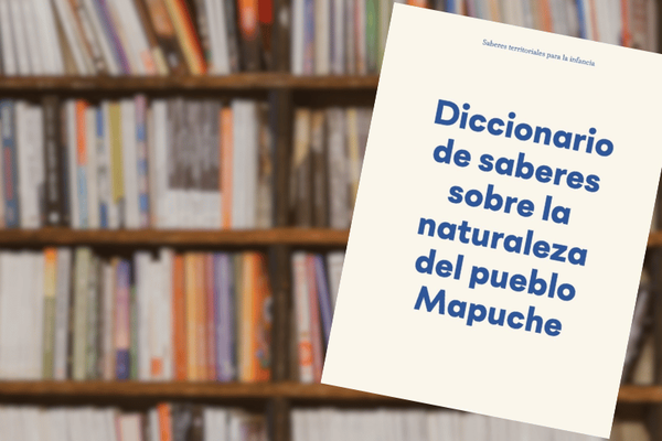  PORTADADiccionario mapuche