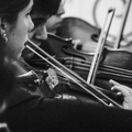 Orquesta Chilena de Cuerdas en GAM