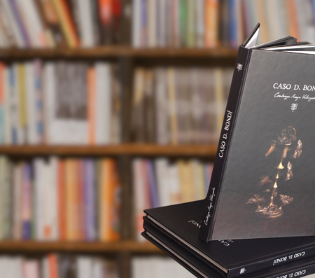 Lanzamiento de libro: Caso D. Bondi