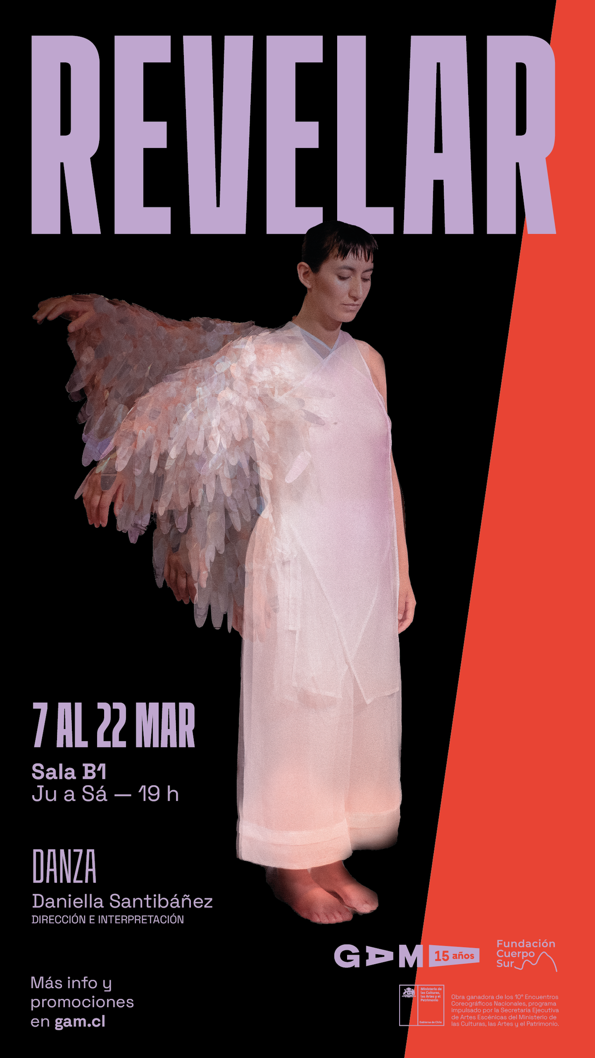 Revelar_flyer.png