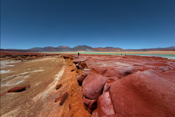 PNC_9243.jpg apple (1).png