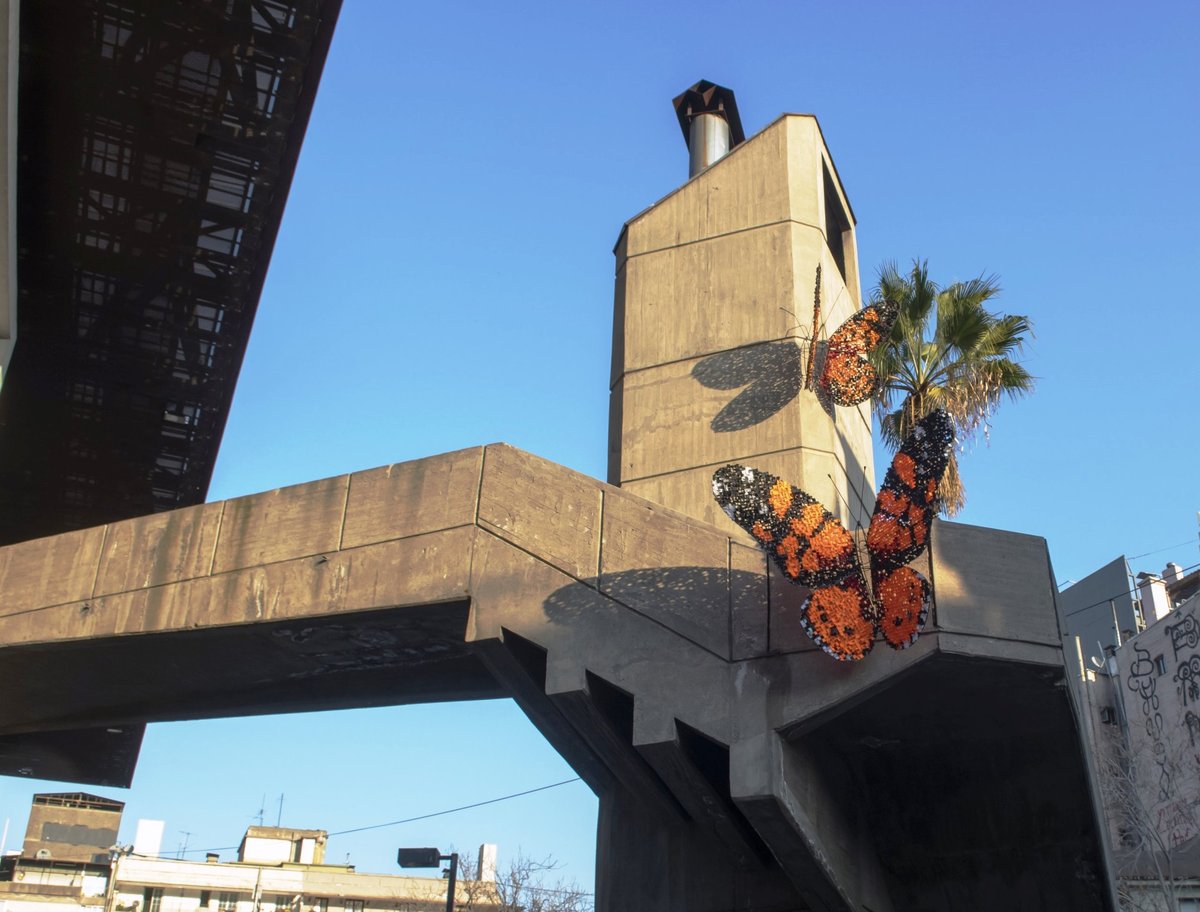 brutalmente creativos  (20)