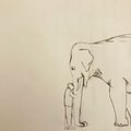 Cabeza de elefante