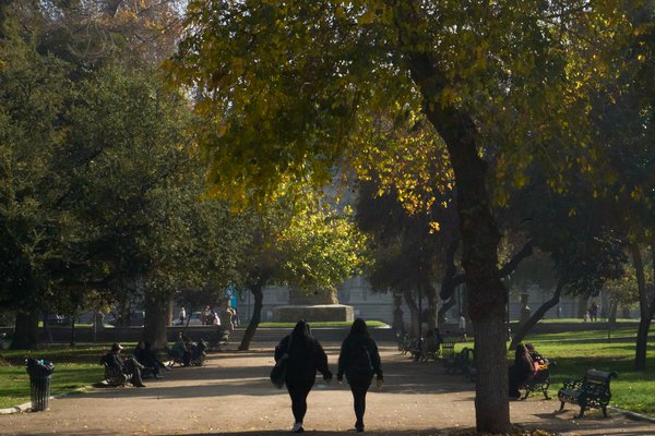  fotoporpalabra (12).jpg